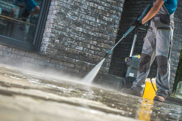 Best Animal Enclosure Cleaning  in Steele, AL