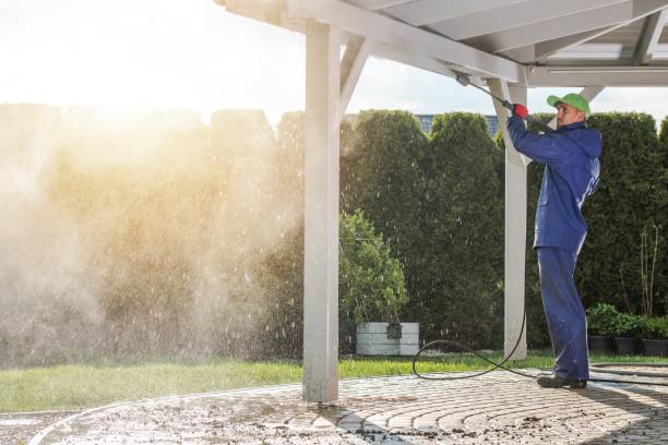 Best Roof Washing  in Steele, AL