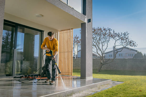 Best Pre-Holiday Cleaning  in Steele, AL